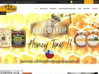 honeygroupchile.cl