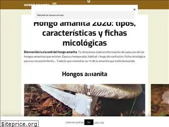 hongoamanita.com