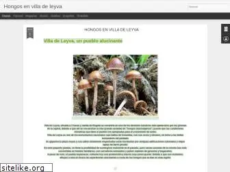 hongosvilla.blogspot.com