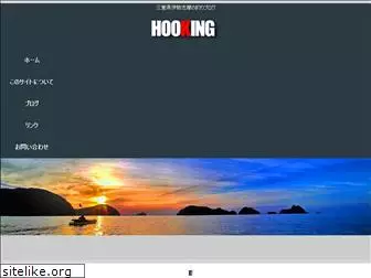 hooking-web.com
