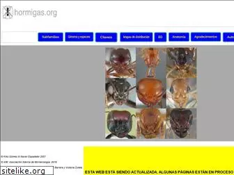 www.hormigas.org