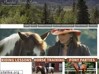 horsebackridinglessonsde.com