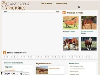 horsebreedspictures.com