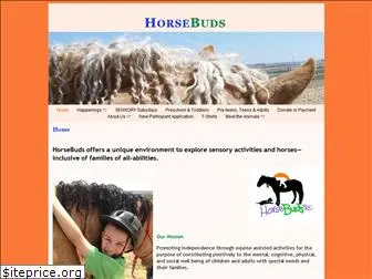 horsebudstrc.org