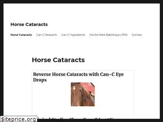 horsecataracts.com