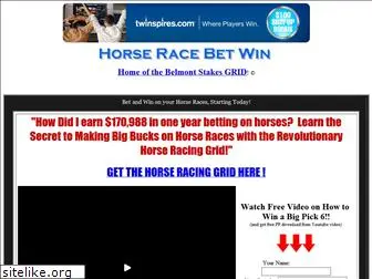 horseracebetwin.com