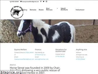 horsesensewirral.com