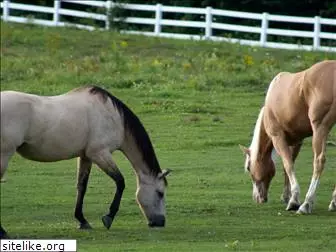horsetrak.com
