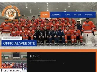hosei-icehockey.com