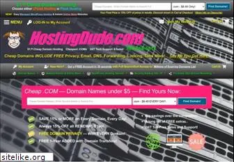 hostingdude.com