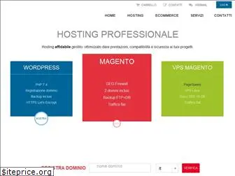 hostingprofessionale.net