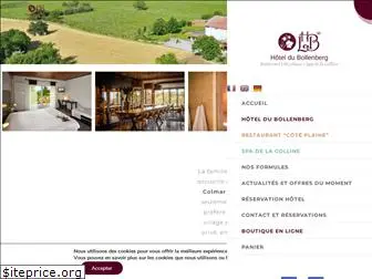 hoteldubollenberg.com