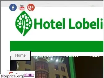hotellobeliaaddis.com