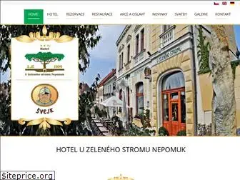 hotelnepomuk.cz