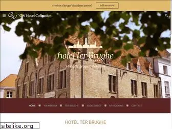 hotelterbrughe.com