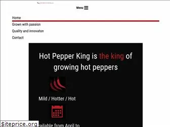 hotpepperking.com