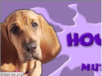 hounddogsdrule.com