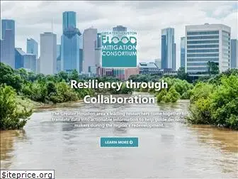 houstonconsortium.com