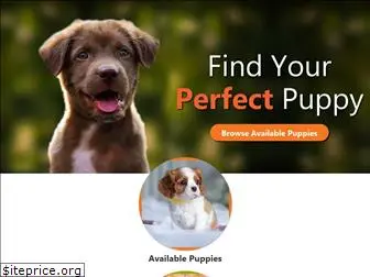 houstonpetland.com