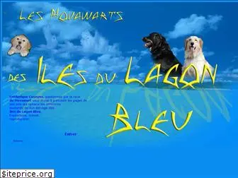 hovawart-lagonbleu.com