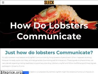 howlobsterscommunicate.weebly.com