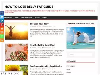 howtolosebellyfatguide.com