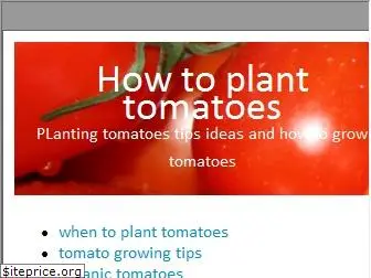howtoplanttomatoes.com