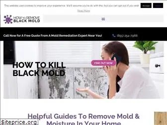 howtoremoveblackmold.com