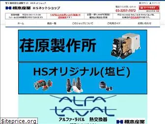 hs-netshop.com