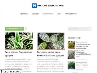 hudeemunas.ru