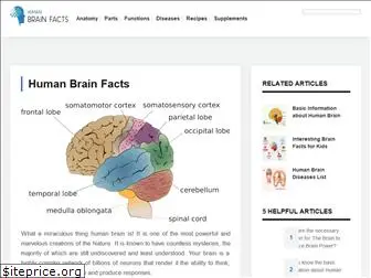 humanbrainfacts.org