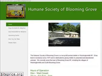 humanesocietybg.com