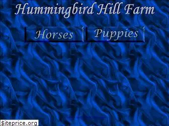 hummingbirdhill.net