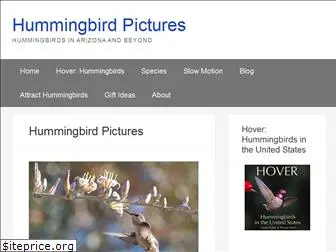 hummingbirdpictures.net