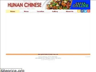 hunanmichigancenter.com