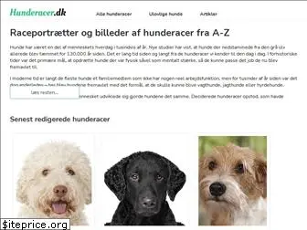 hunderacer.dk