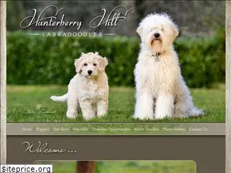 hunterberryhilllabradoodles.com