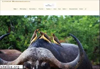 huntinginafricasafaris.com