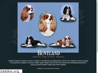 huntlandcavaliers.com