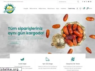 hurmaciahmet.com