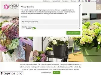 hydrangeaworld.com