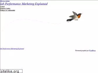 iab-performance-marketing-explained.net