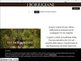 iborrigiani.com