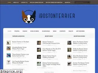 ibostonterrier.com