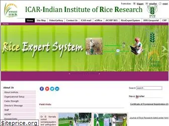 icar-iirr.org