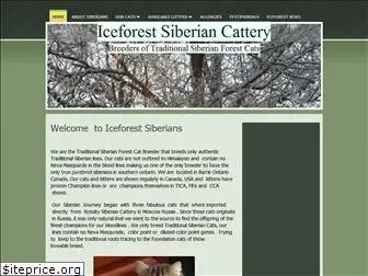 iceforestsiberians.com