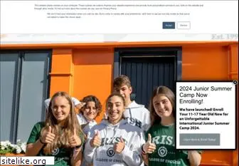 iceireland.com