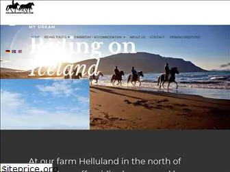 icelandhorsetours.com