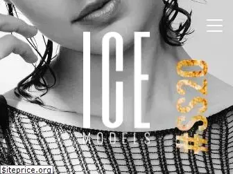 icemodels.co.za