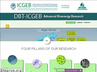 icgeb-bioenergy.org